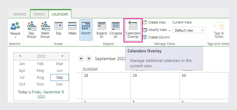 you can overlay multiple calendar views; click "Calendars Overlay" in the Calendar tab