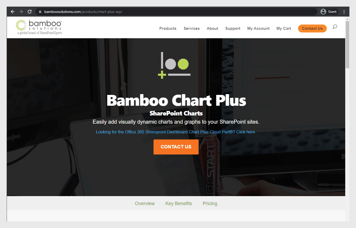 Bamboo Chart Plus landing page