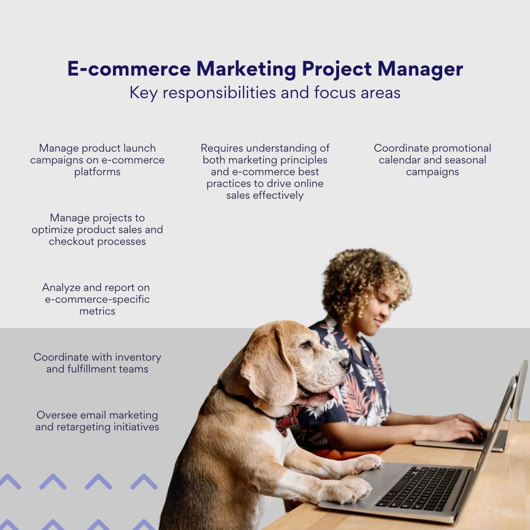 e-commerce marketing project manager: key responsibilities and focus areas