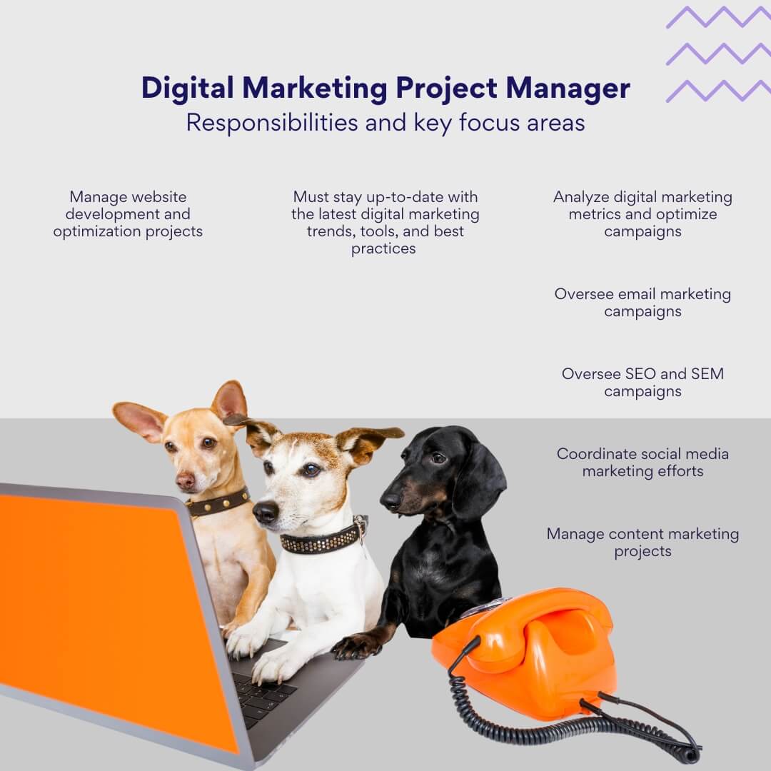 Digital marketing project manager: responsibilities and key focus areas