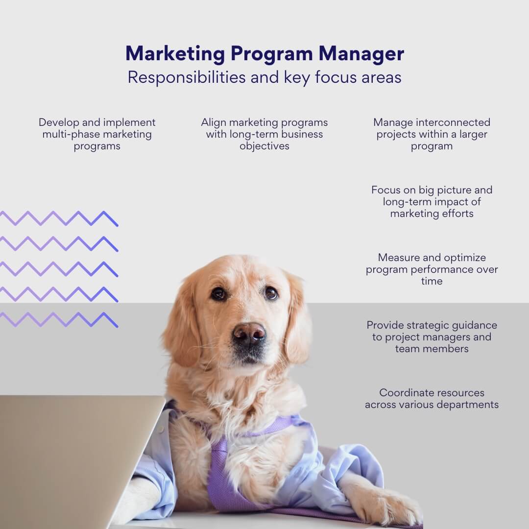 marketing program manager: responsibilities and key focus areas