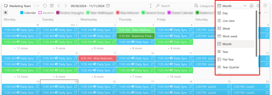 Pic. 16. Checking different view options in the Virto Calendar App.